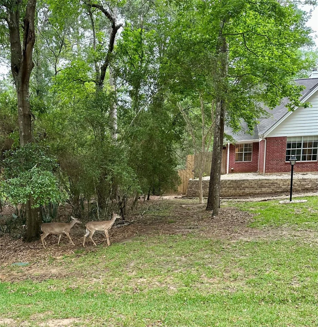 Photo of 2420 Canter Lane