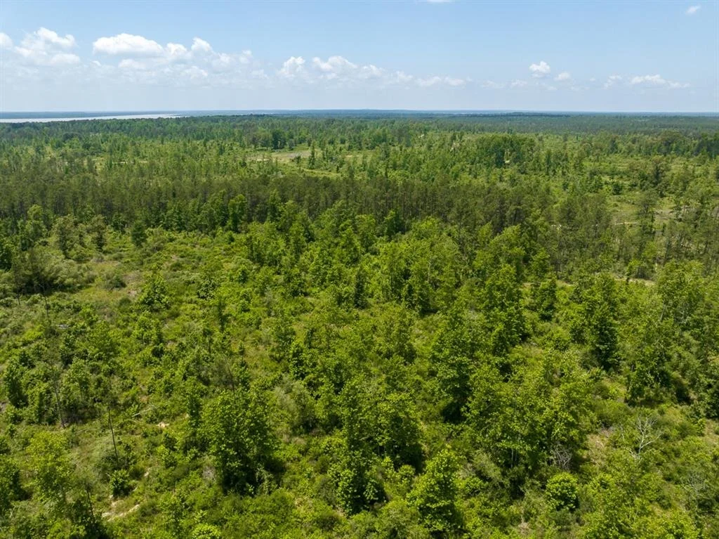 Photo of TBD Fm 355