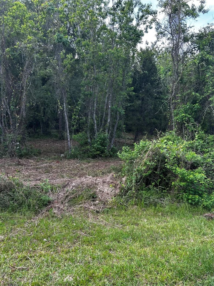 Photo of 0 County Line Road