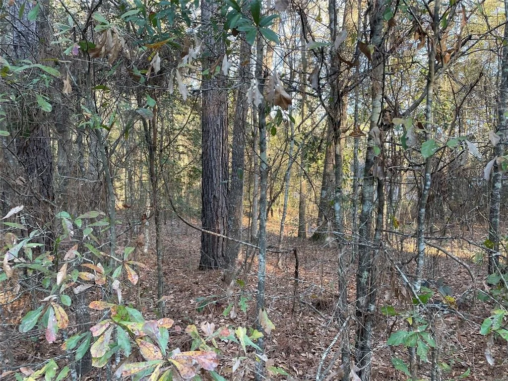 Photo of 00 Wright Boulevard