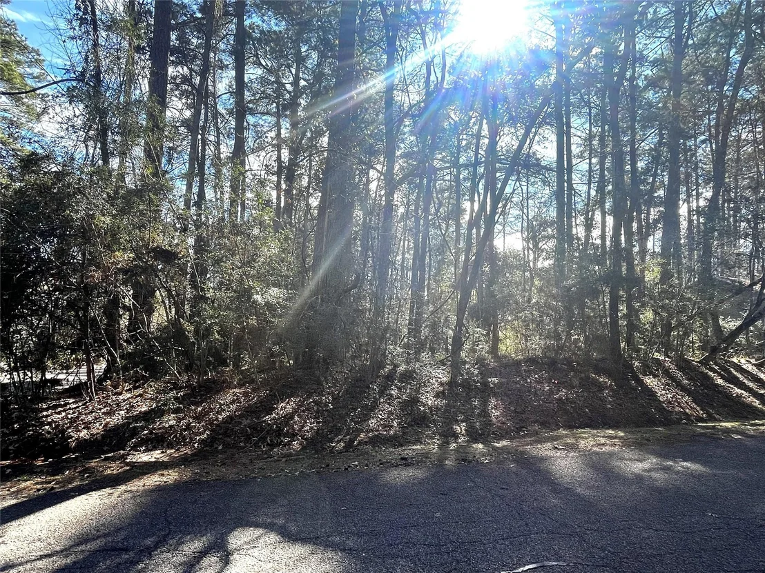 Photo of 179 Green Tree Drive