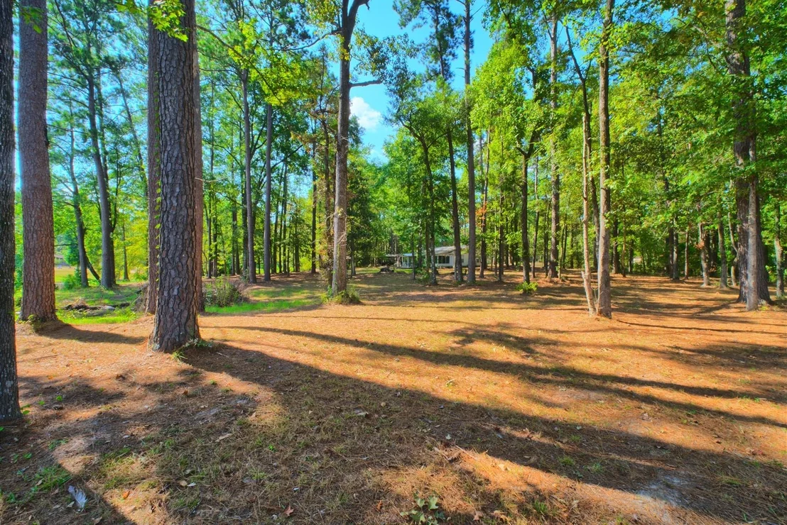 Photo of 431 Madie Duhon Drive