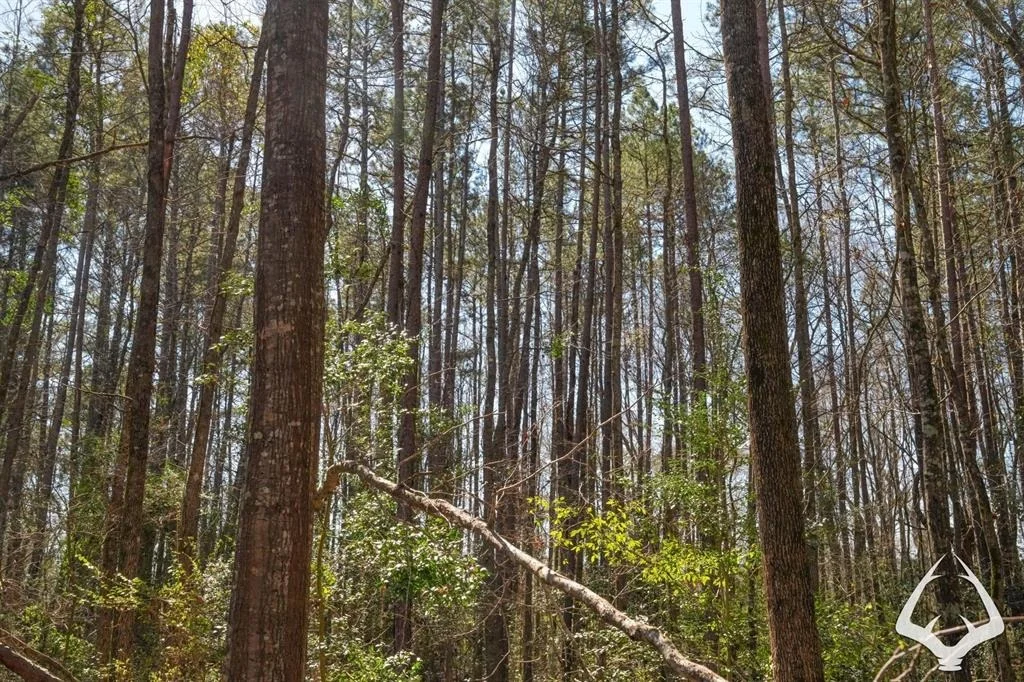 Photo of TBD 2 Us Hwy 69