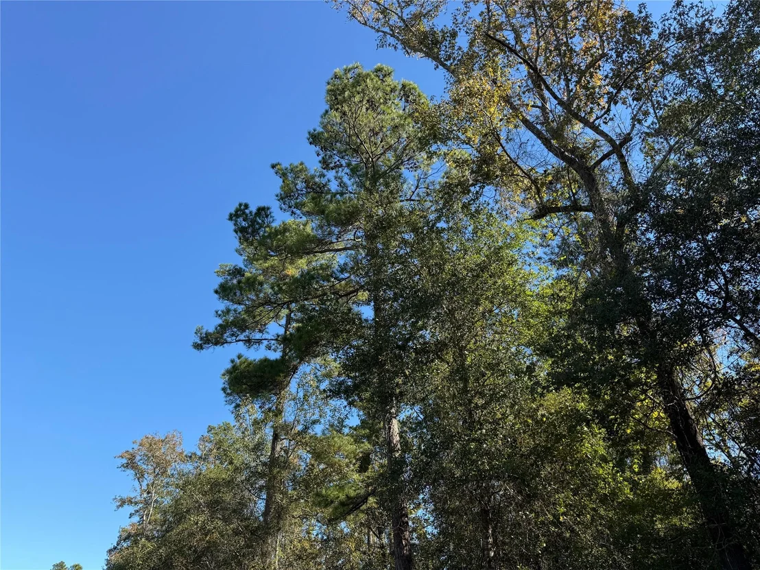 Photo of T-9 Eldridge Road