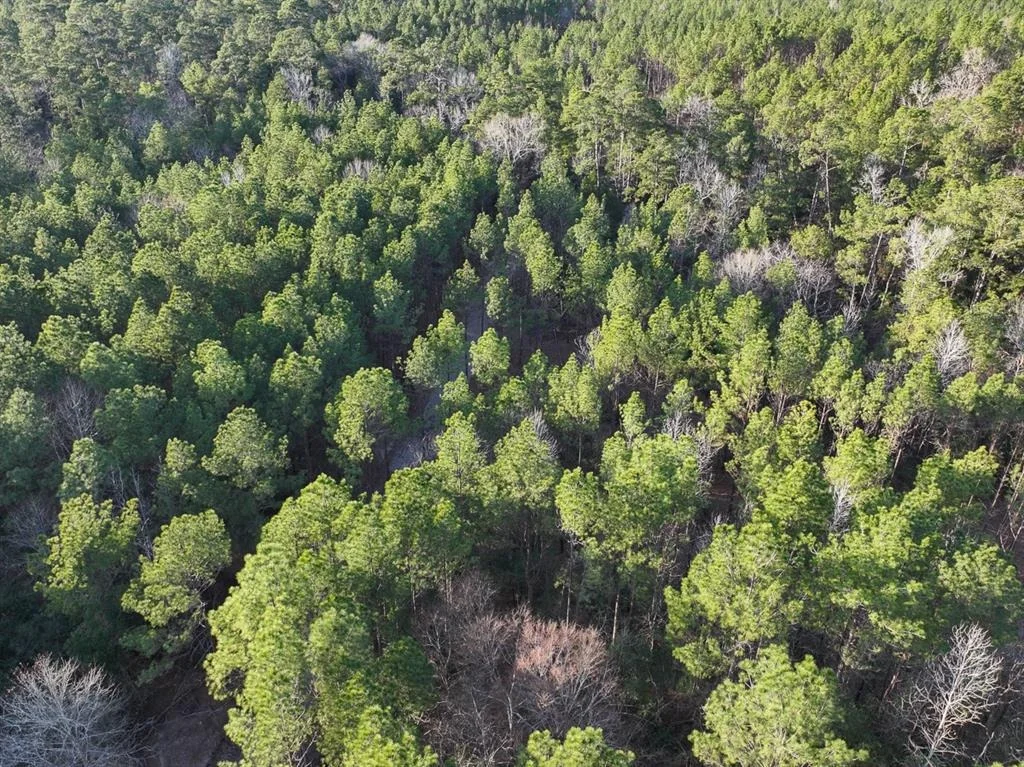 Photo of TBD Off Fm 355