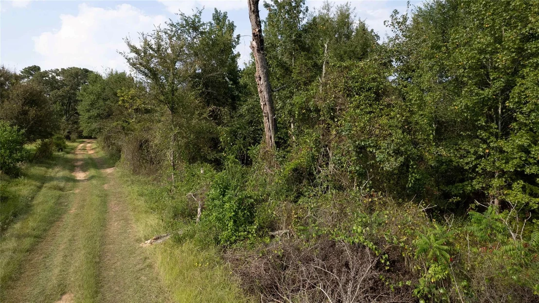 Photo of 770 County Rd 1675