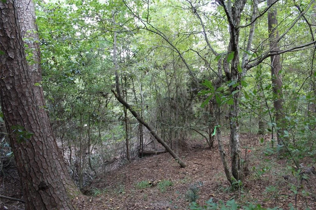 Photo of 1901 Lakeview Estates Drive