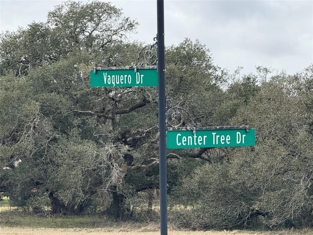 Photo of 114 Center Tree Drive