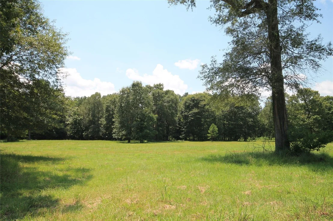 Photo of 783 County Road 377