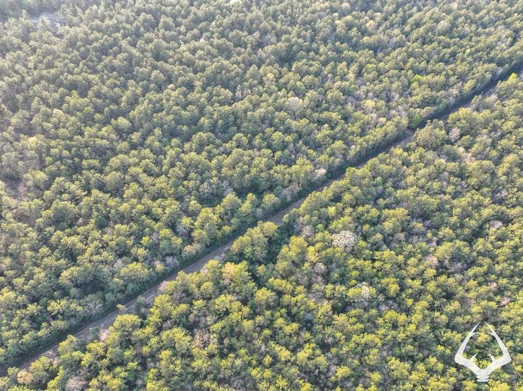 Photo of 850 County Road 4390