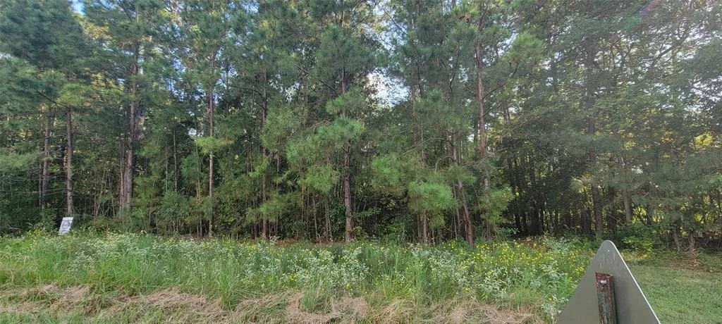 Photo of 11800 Park Slope Drive