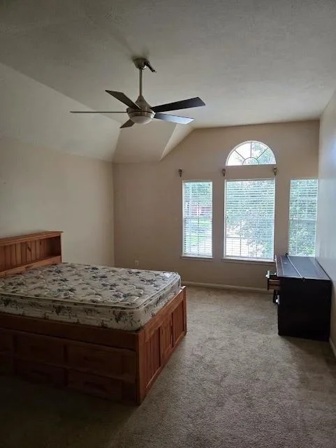 Photo of 4203 Shadow Haven Drive