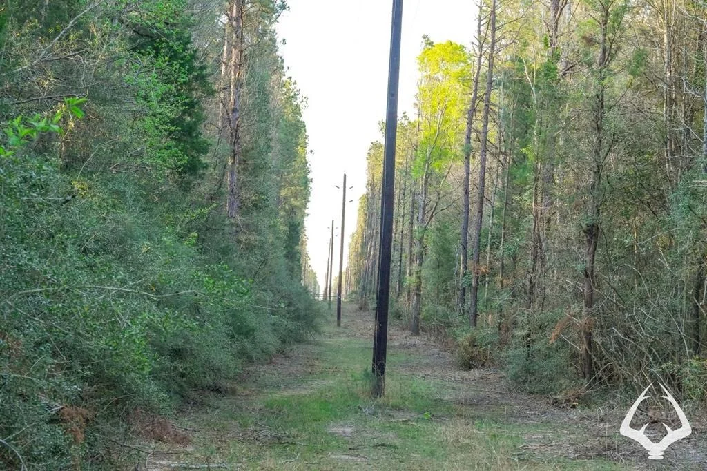 Photo of 850 County Road 4390