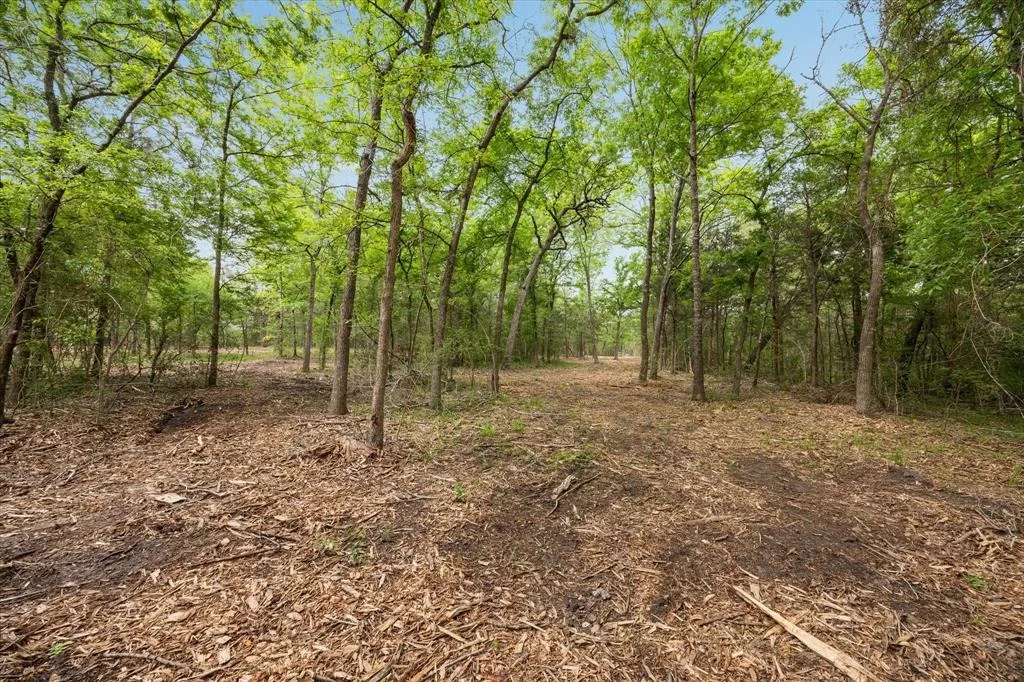 Photo of 4465 Old Navasota Rd