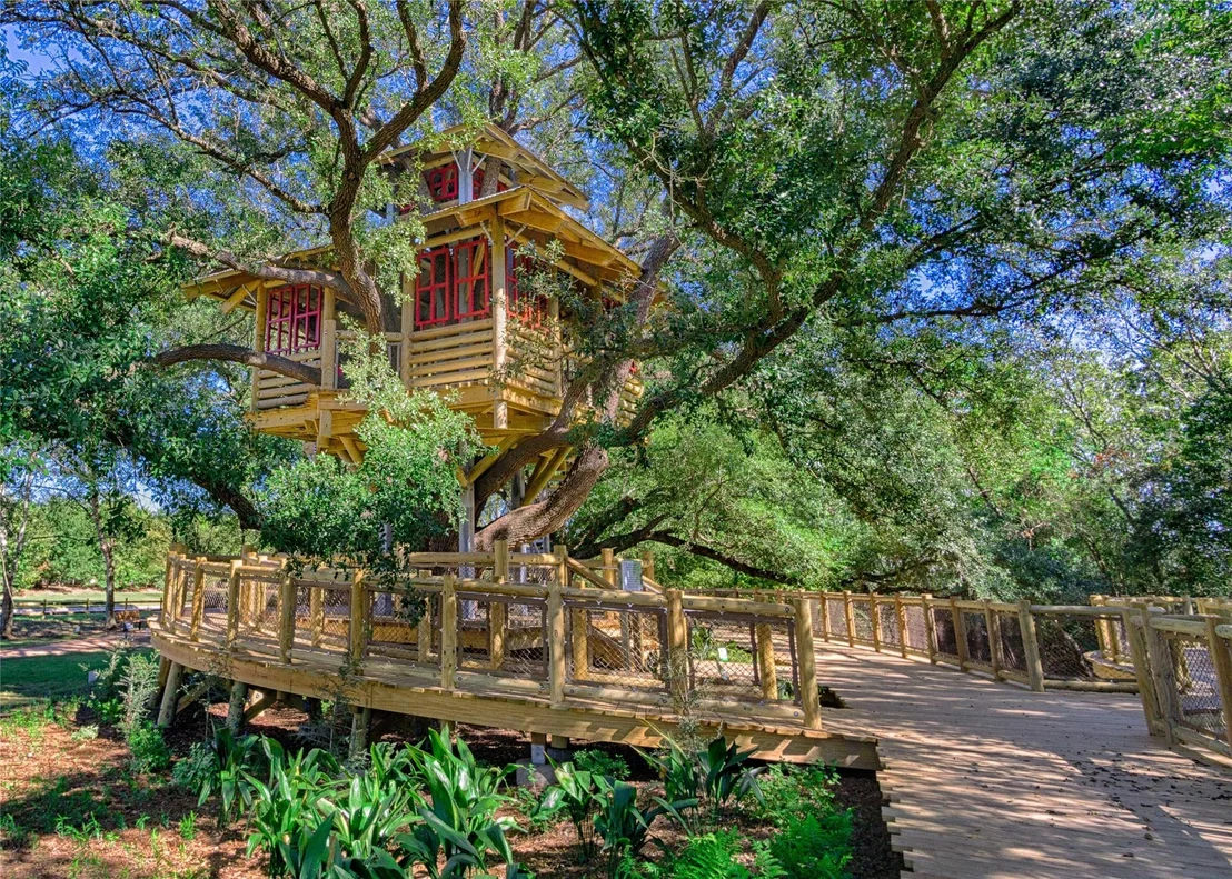 Photo of 11118 Heartleaf Aster Way