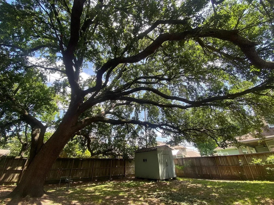 Photo of 1746 Ebony Lane