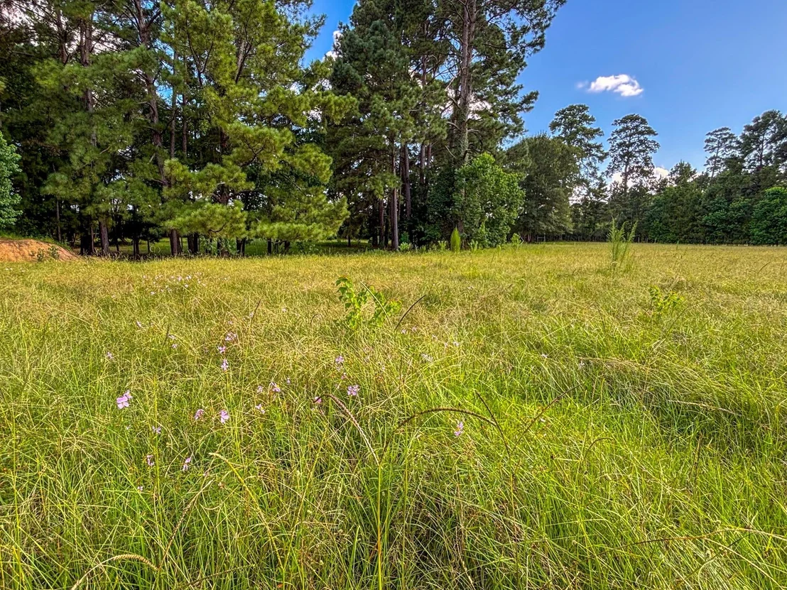 Photo of 1533 County Road 348