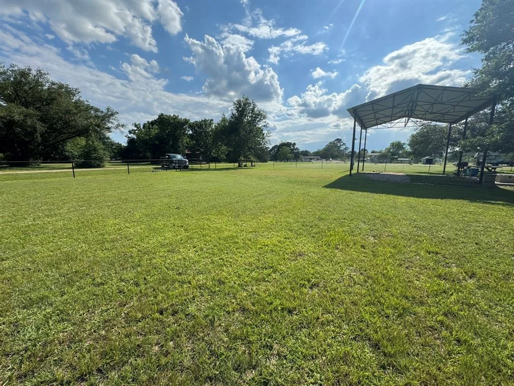 Photo of 92 Starling