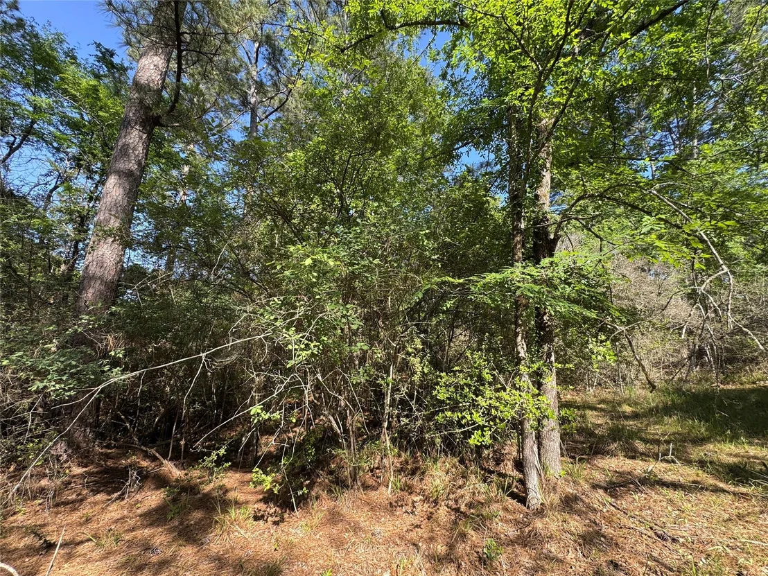 Photo of 15 Wood Harbor