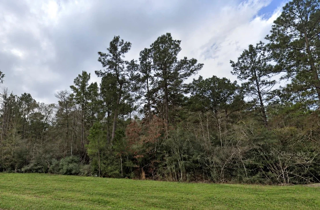 Photo of 15273 Forest Grove Drive