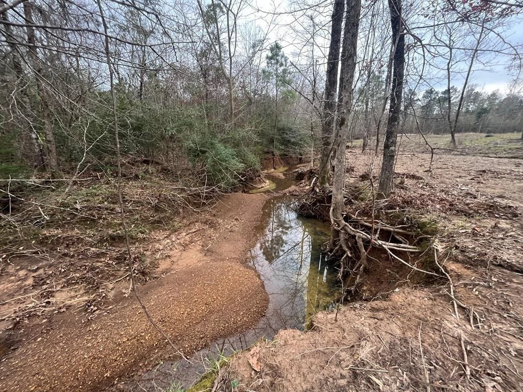 Photo of 10975 Highway 96 South