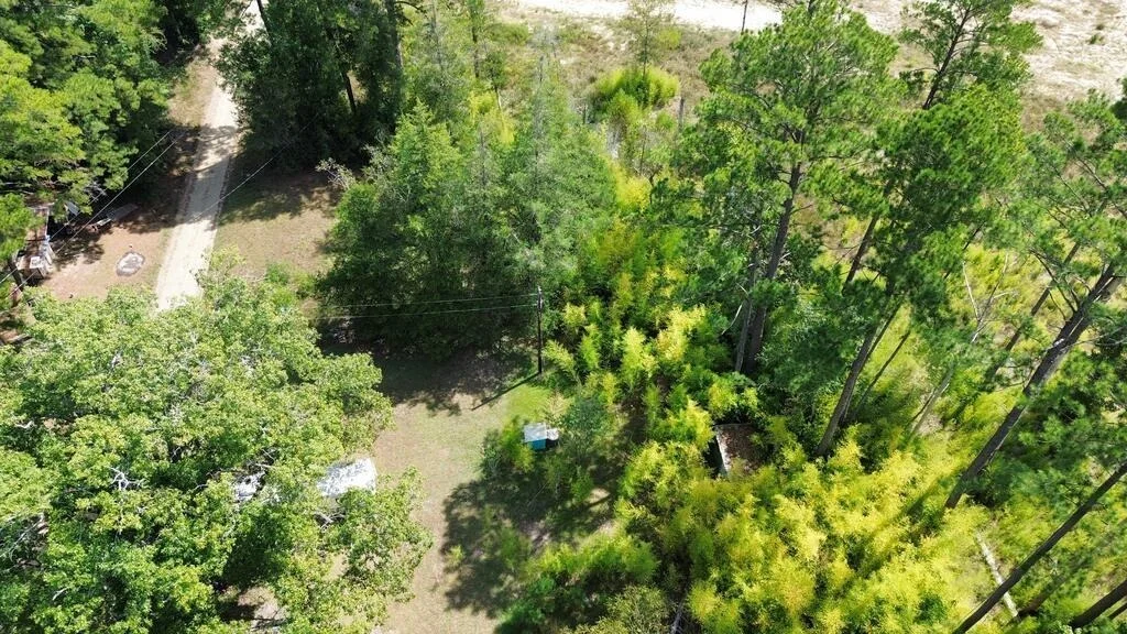 Photo of 1156 County Road 2132