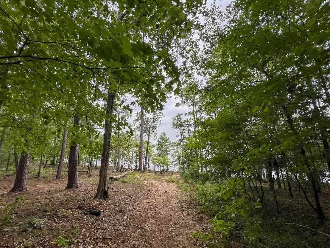 Photo of 4.5 Arledge Trail/Off Gateway Meadows