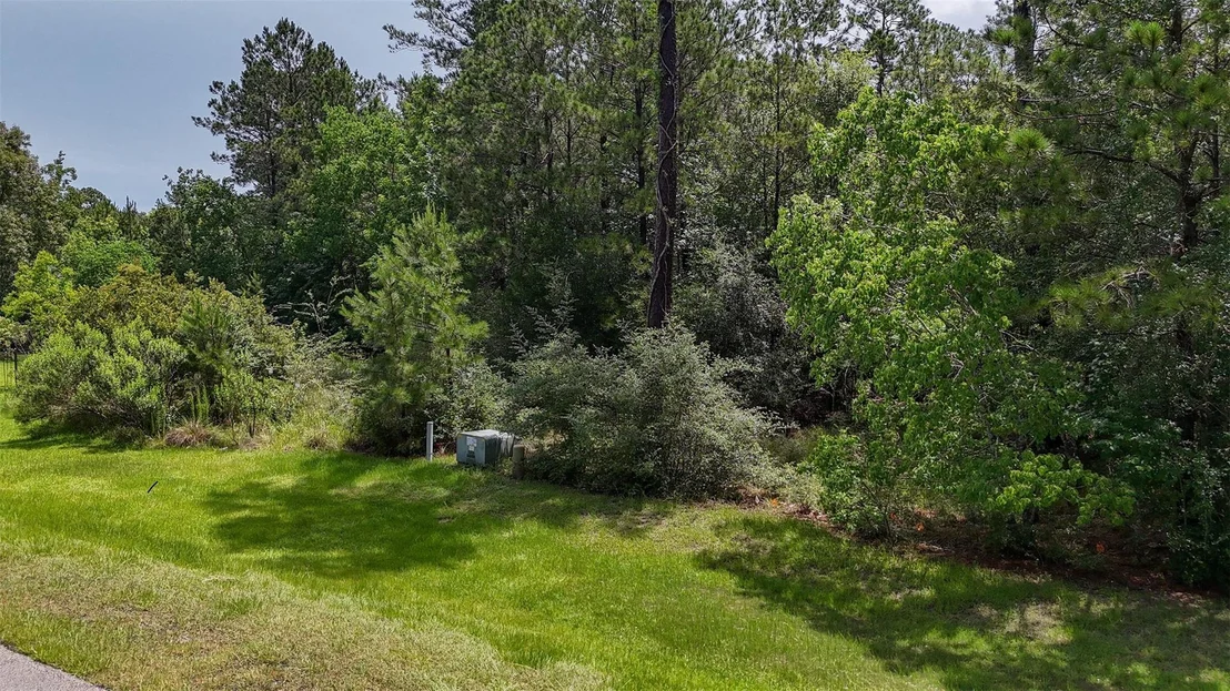 Photo of 12033 Oak Forest Lane