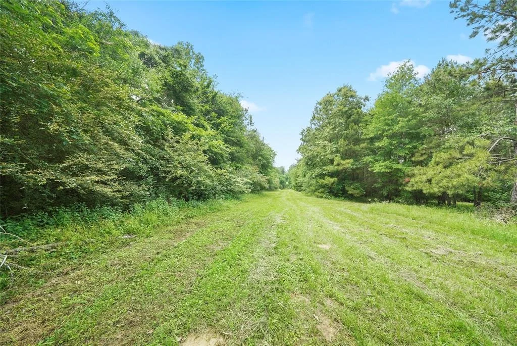 Photo of 2700 Spring Branch Road
