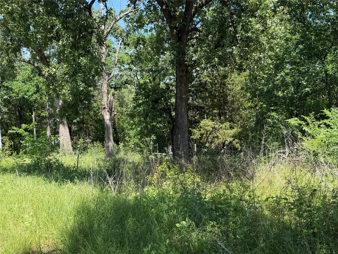 Photo of 1341 & 1343 Waikiki Trail