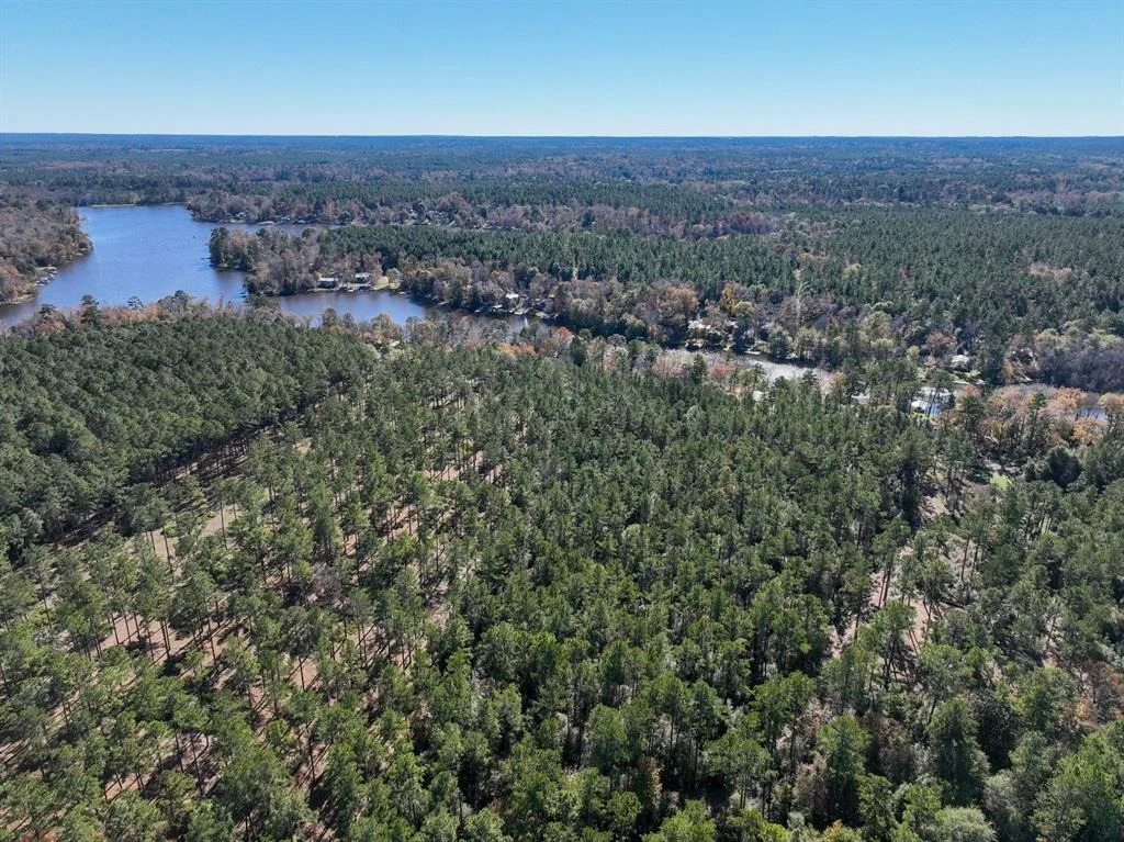 Photo of 445 County Road 3190