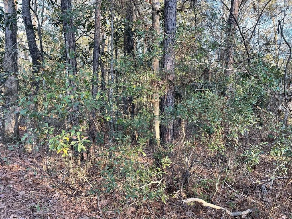 Photo of 00 Wright Boulevard