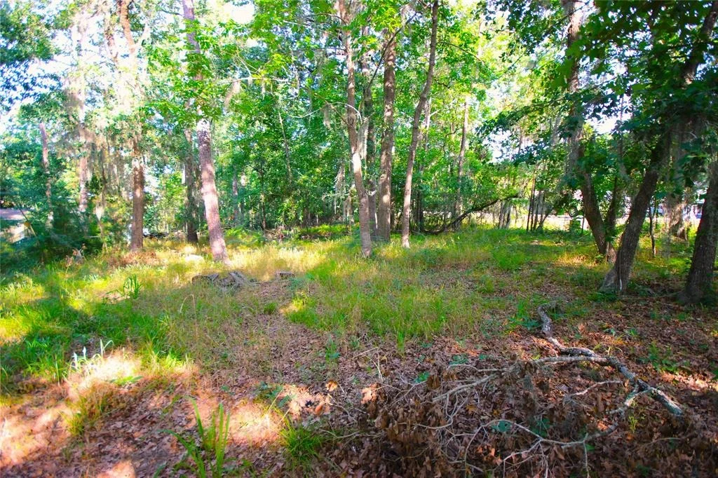 Photo of 22 Walnut Point Drive
