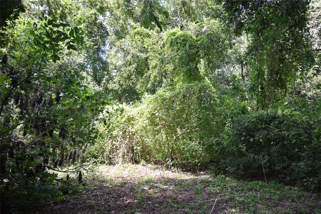 Photo of 111 6th Street