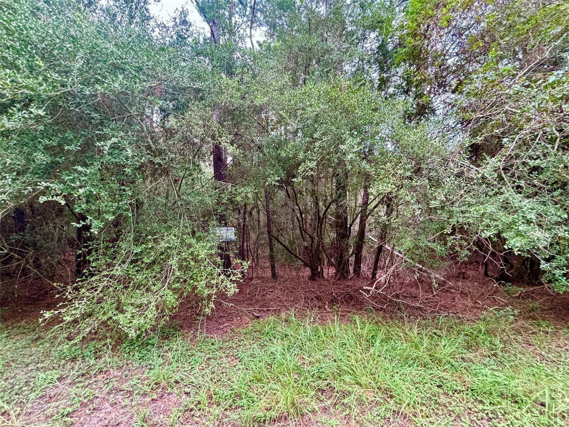 Photo of TBD Parkview Drive