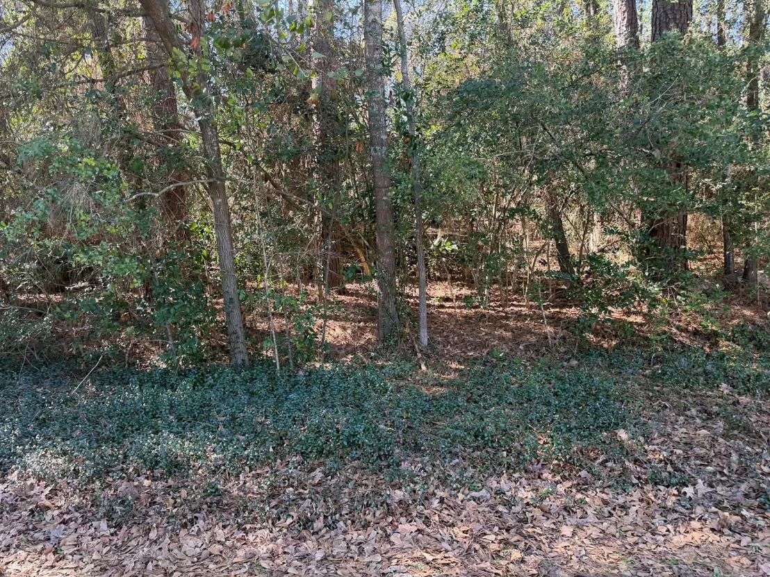 Photo of 138 Paradise Valley Drive