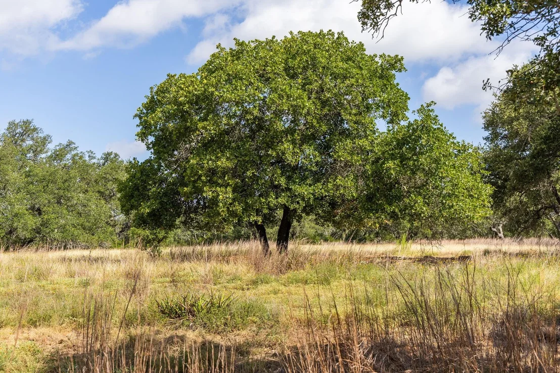 Photo of 5385 Ranch Road 165