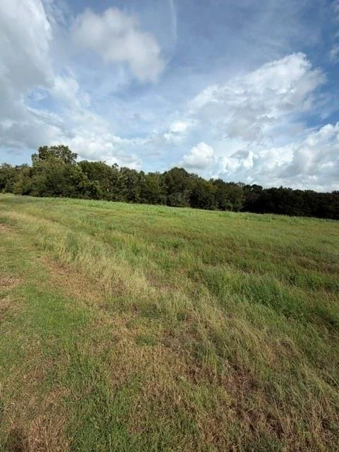 Photo of 1032 Chuckwagon Trail