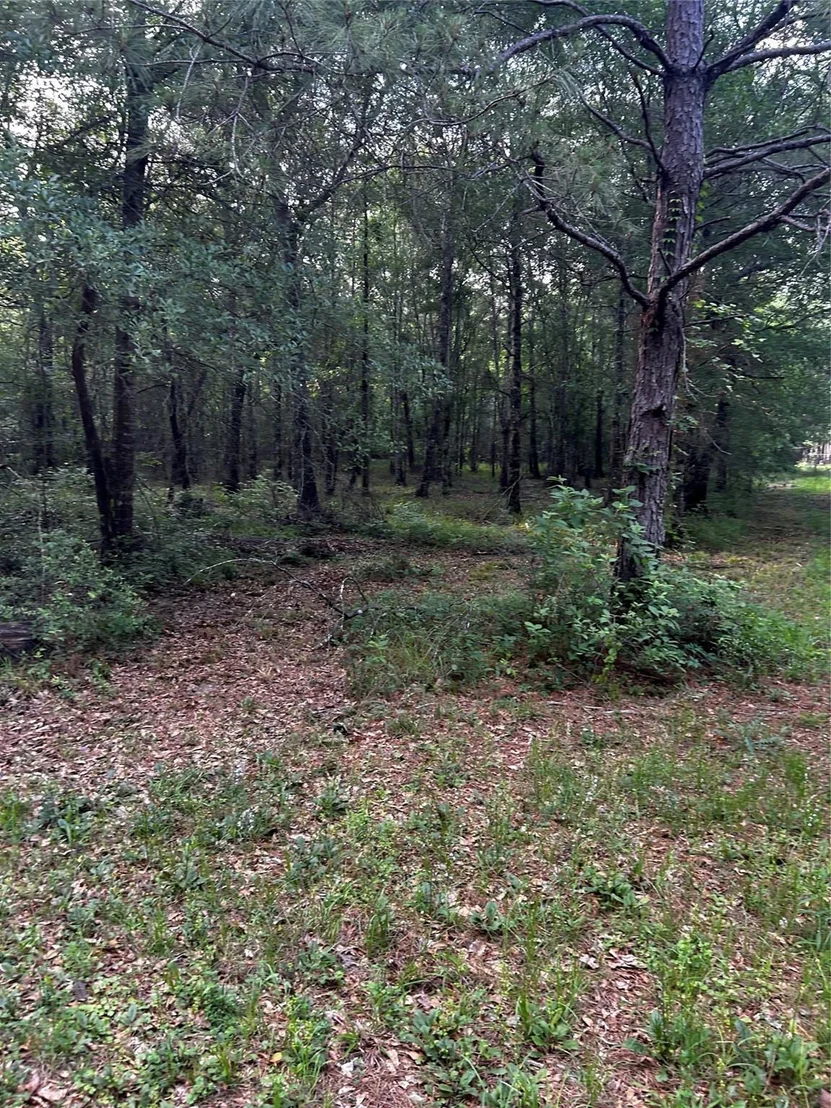 Photo of 0 County Line Road