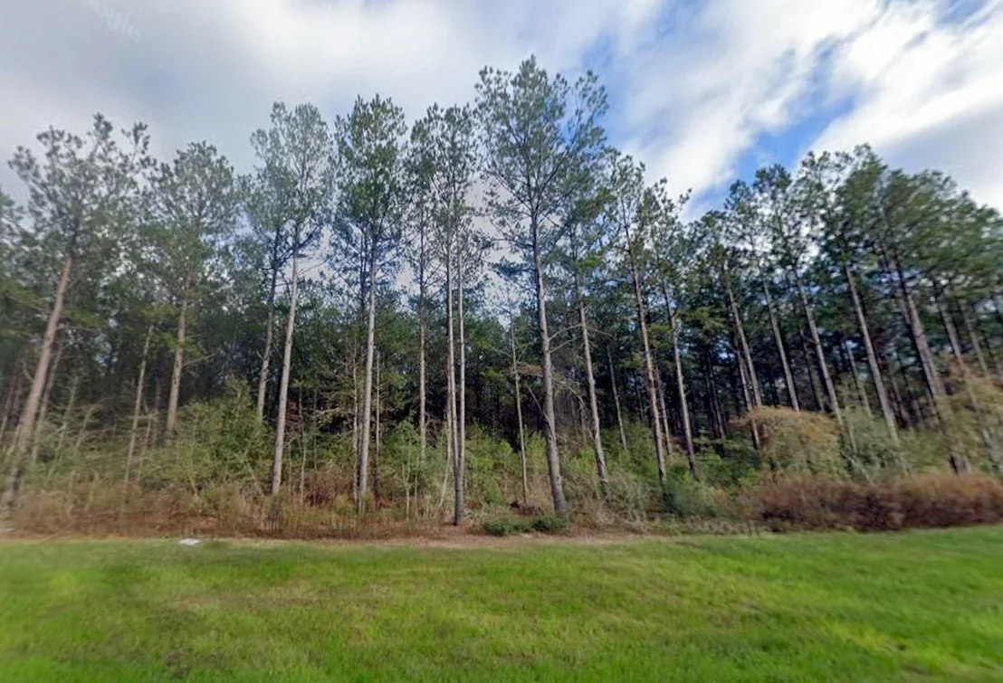 Photo of 16010 Forest Mill Road