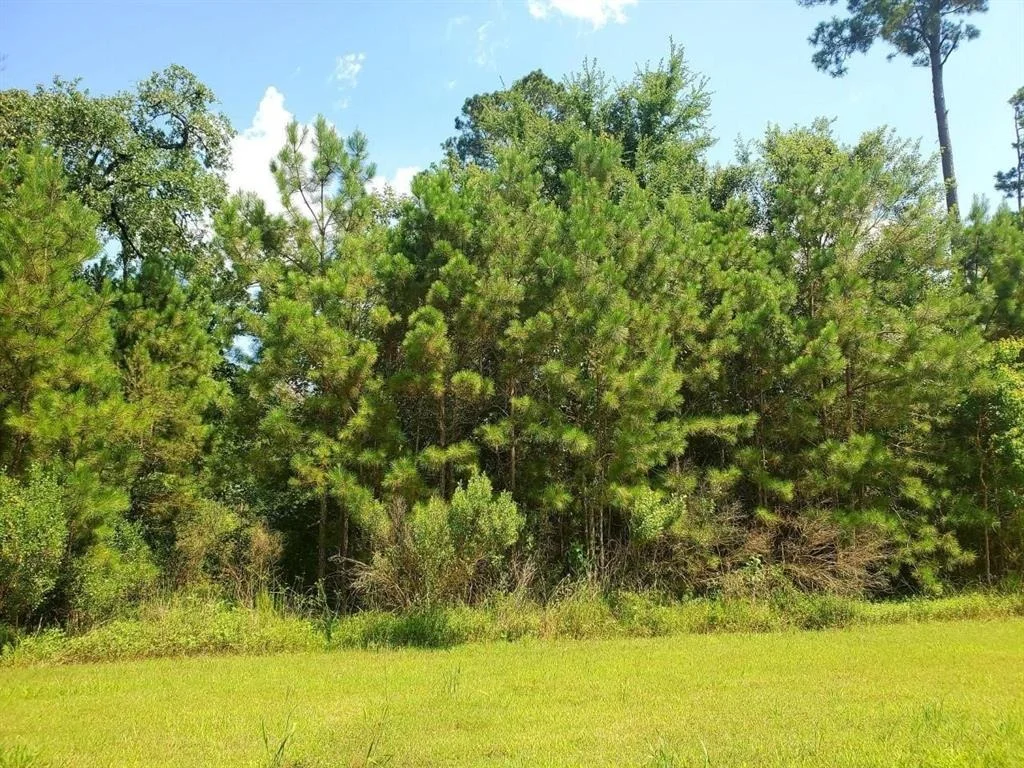 Photo of 121 Kings Lake Estates Boulevard