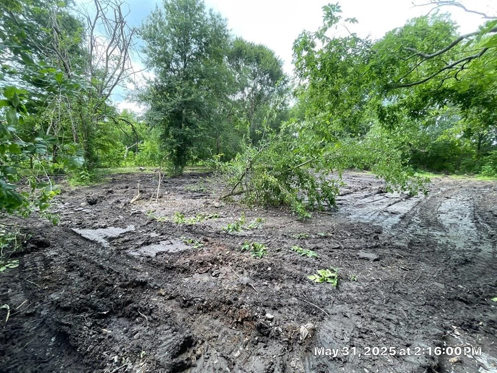 Photo of 10371 County Road 909