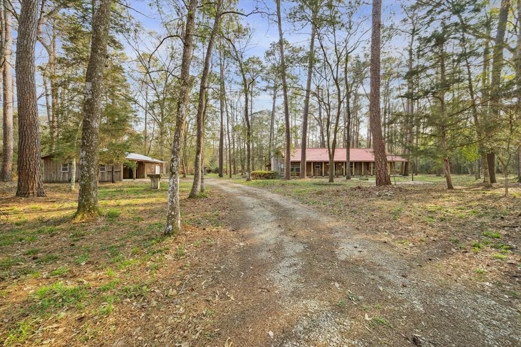 Photo of 86 Hickory Ridge Drive