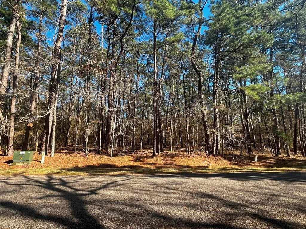 Photo of 55 Green Tree Drive