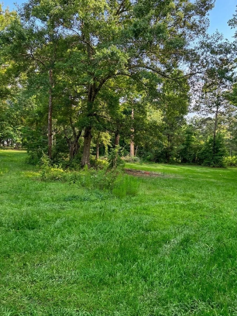 Photo of 189 County Road 2223