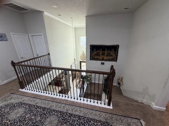 Photo of 4206 Great Bear Place