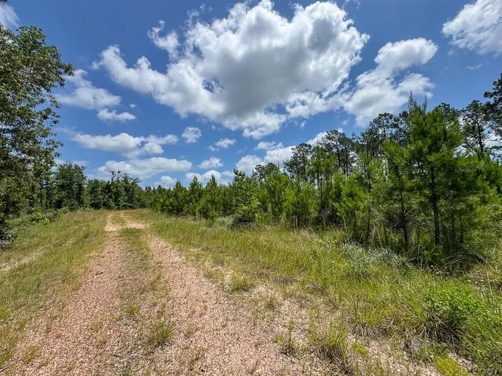 Photo of TBD Fm 355