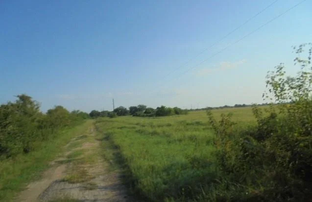 Photo of 1477 County Road 237