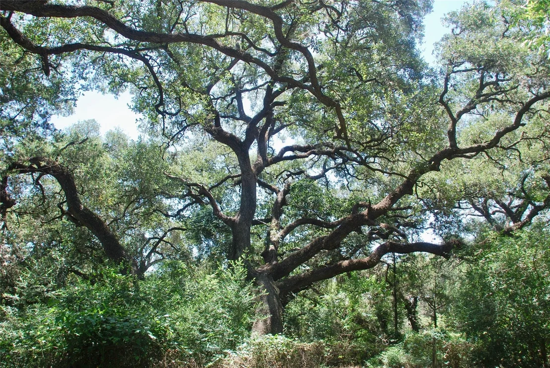 Photo of 29 County Road 77b