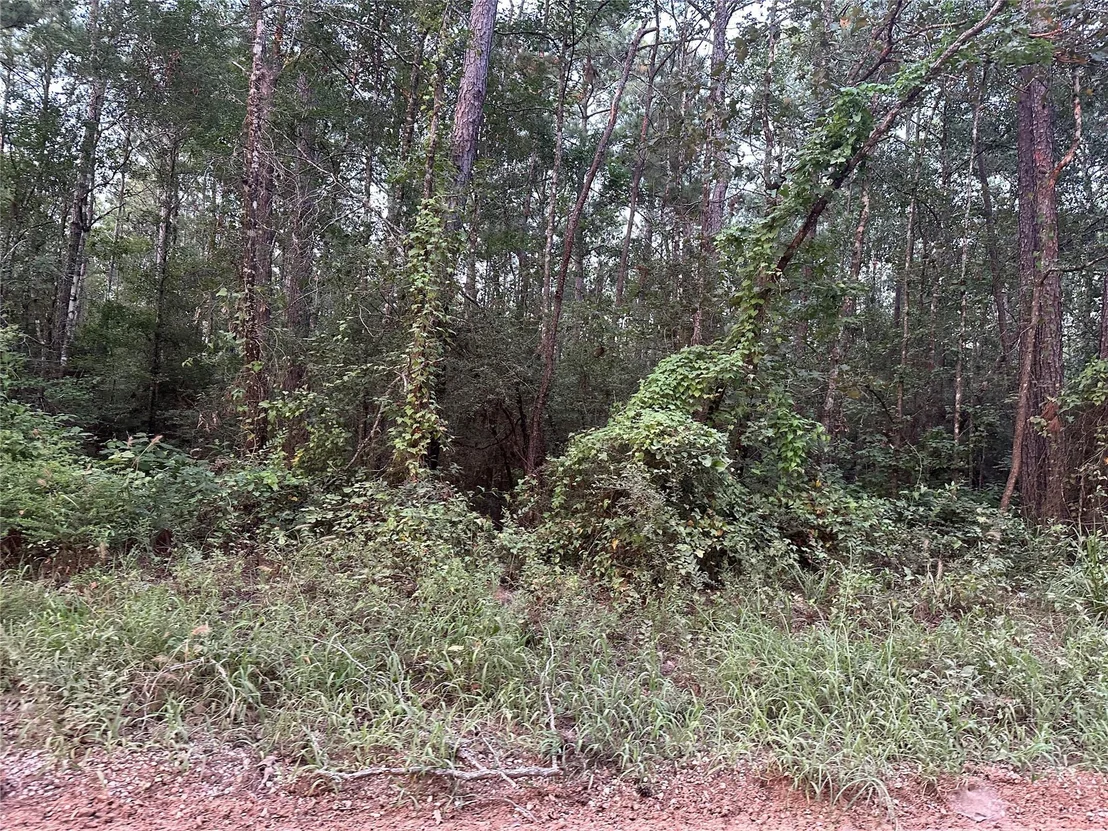Photo of 2103 Jenkins Road